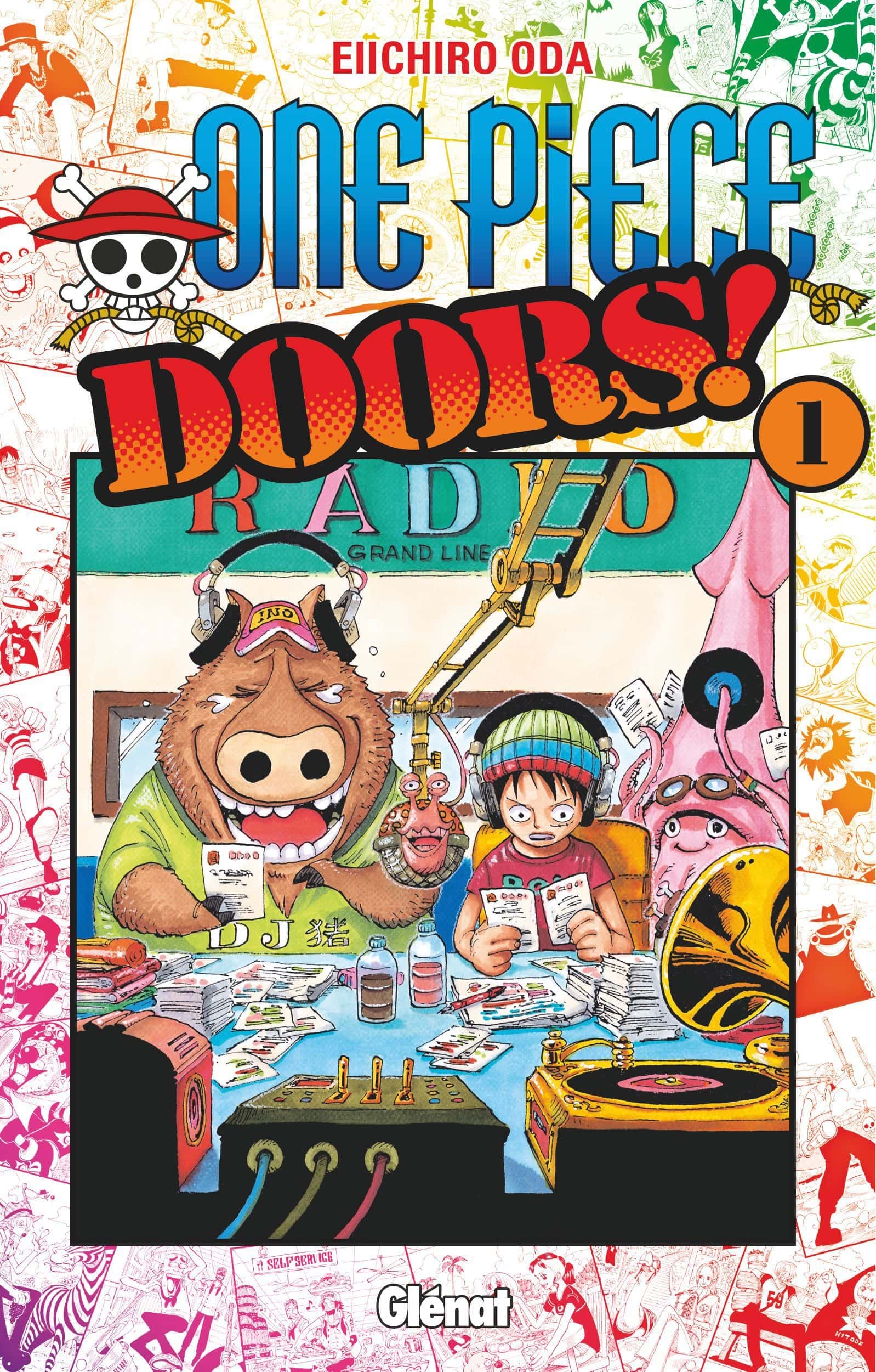 One Piece Doors! One Piece Doors!