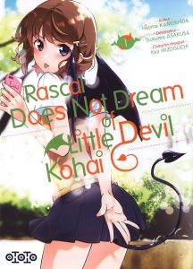 Rascal Does Not Dream of Little Devil Kohai
