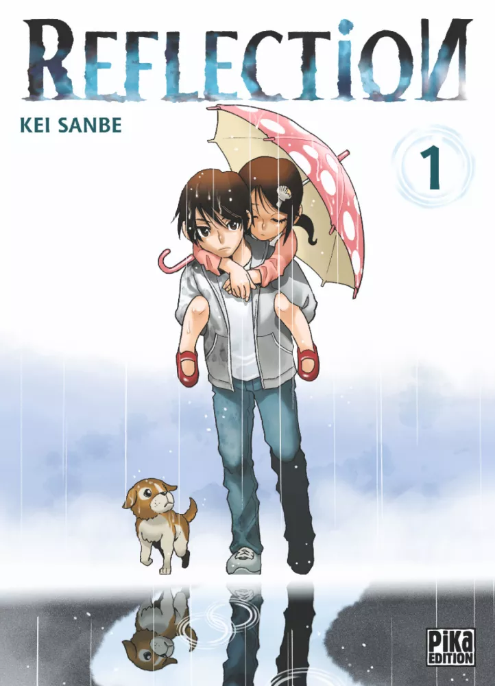 Reflection Reflection